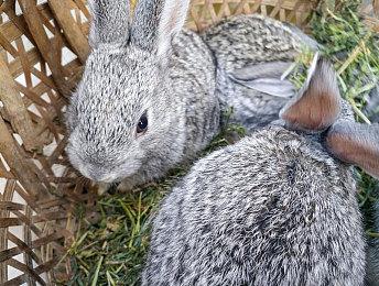 受苏伊士运河堵船事件启发 航行模拟游戏《WHATEVER》上架Steam